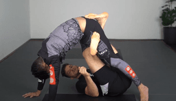 reverse-x-guard_2.png