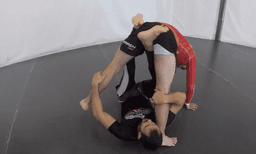 reverse-x-guard_3.png
