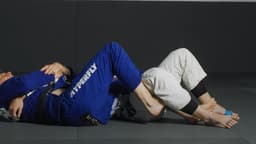 scorpion-death-lock_4.jpg