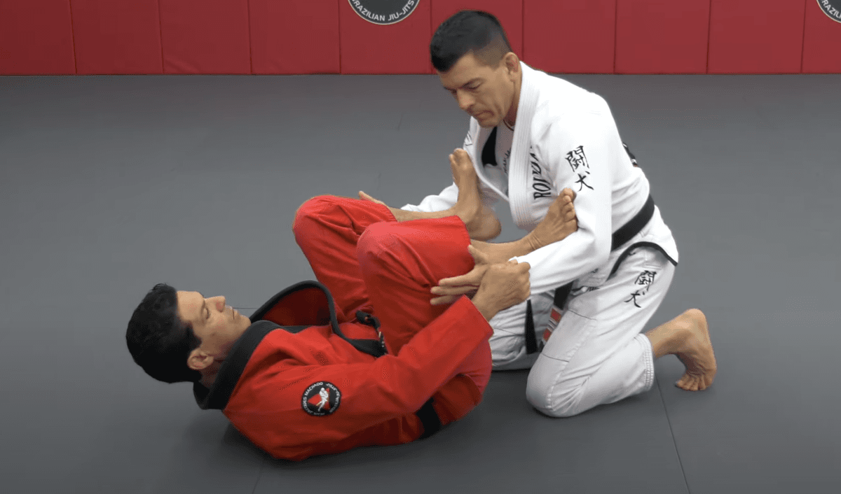 spider-guard_1.png