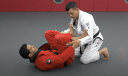 spider-guard_1.png