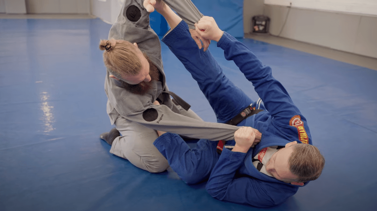 spider-guard_3.png