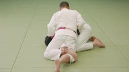 ude-hishigi-ashi-gatame_1.png