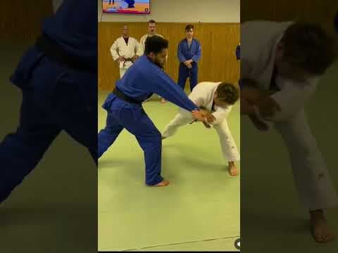 Ko uchi gari judo ippon 🥋🔥 #judo #ippon #viral #top #sport #kouchi