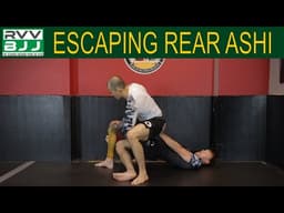 Knee Bar Defense Part 4 - Escaping Rear Ashi Escape Vs Seated Opponent