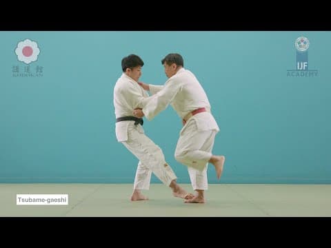 燕返 / Tsubame-gaeshi