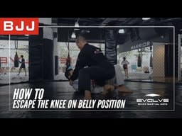 BJJ | How To Escape The Knee On Belly Position