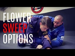 Flower Sweep Options | BJJ and MMA Techniques | CVBJJ Online