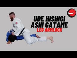 Ude Hishigi Ashi Gatame || Leg Armlock