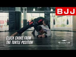 BJJ | How To Execute A Clock Choke From The Turtle Position