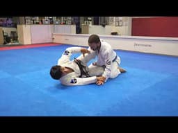 Z Guard Fundamentals