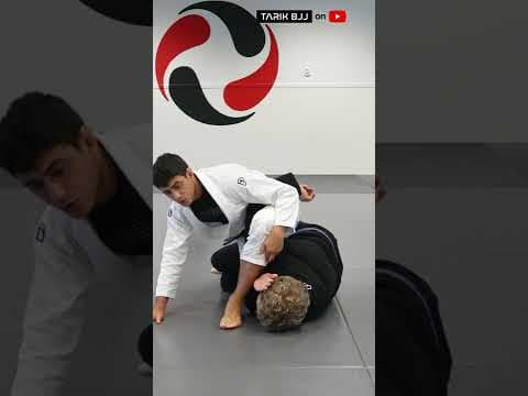 Setting Up the Monoplata