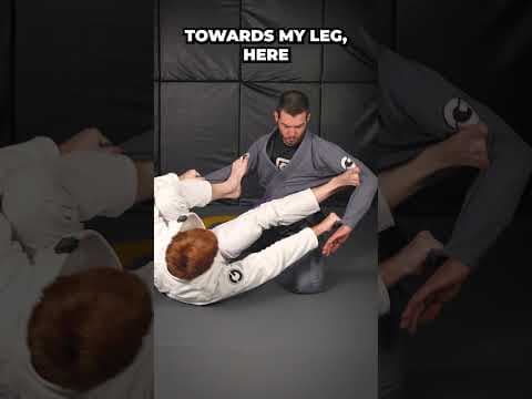 Revolutionize Your Spider Guard With This Detail
