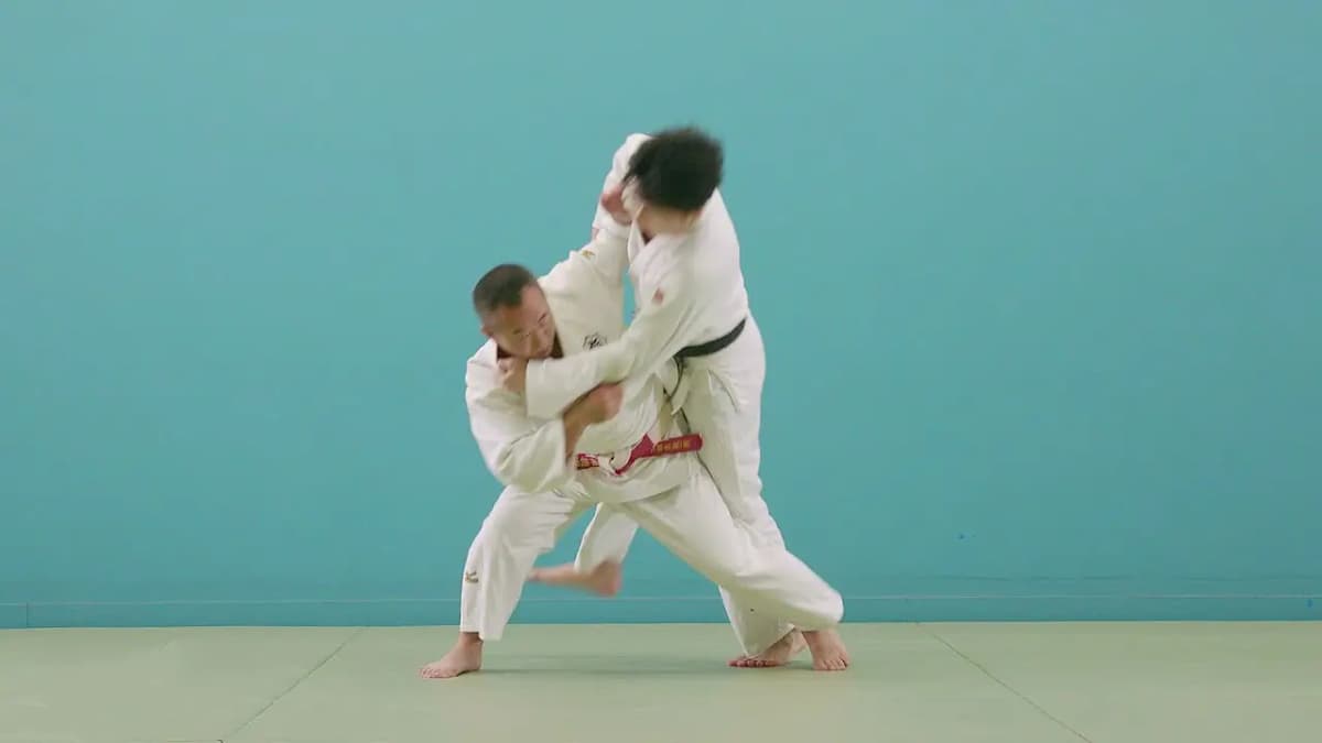 tai-otoshi_1.png